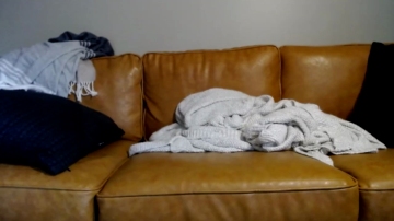 Curiouscalls  09-07-2021 video kawaii